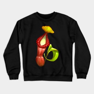 Carnivorous Plant Nepenthes Edwardsiana Botanical Pitcher Plant Crewneck Sweatshirt